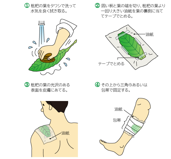 枇杷の葉を直接患部に貼る方法の図